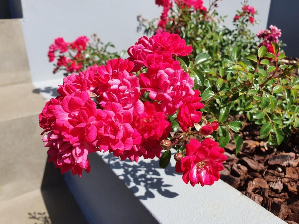 Apartament Casa Atlantico Dachterrassengeschoss Ribeira Brava Zewnętrze zdjęcie