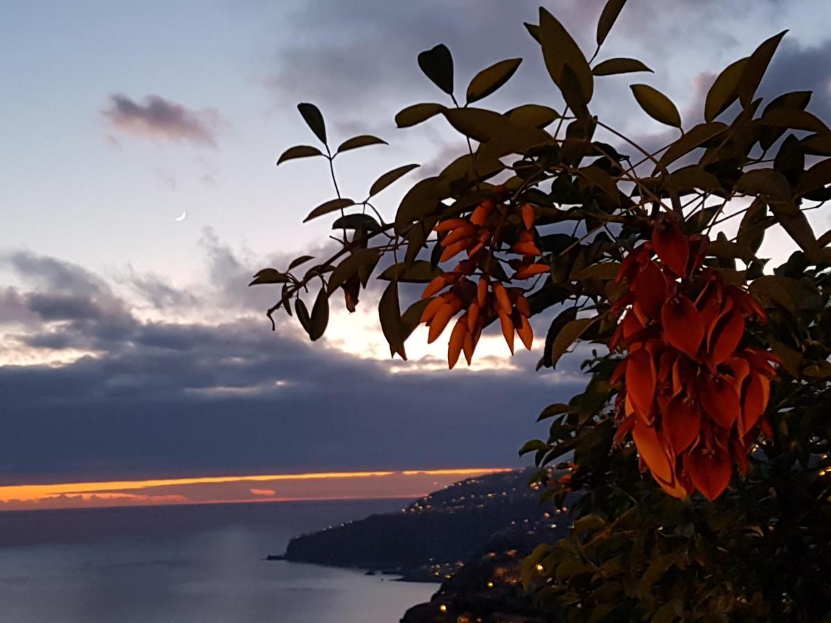 Apartament Casa Atlantico Dachterrassengeschoss Ribeira Brava Zewnętrze zdjęcie